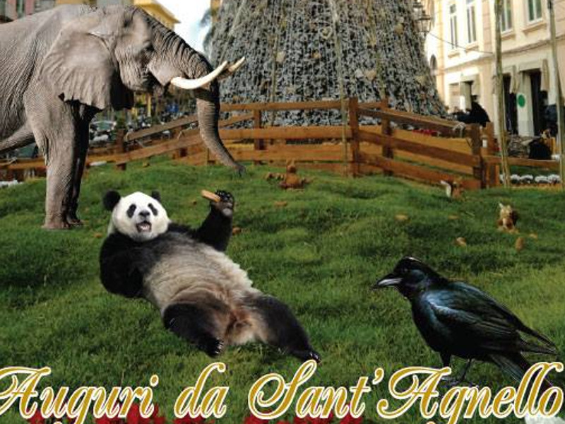 Sant’Agnello/ Gli auguri allusivi di Vittorio d’Esposito all’indirizzo del WWF