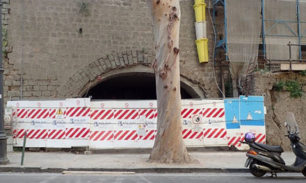 Sorrento/ “Sarà una strage: a rischio 80 alberi”: l’allarme lanciato dal WWF
