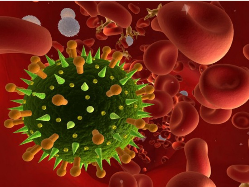 Emergenza Coronavirus: L’appello ai Sindaci di Anna Iaccarino: “Non servono gli inviti, servono gli attributi”