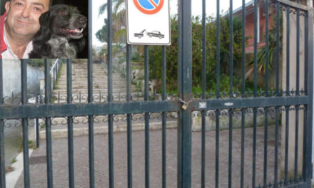 Piano di Sorrento/ “Avremo il parco di Petrulo per i cani”, l’annuncio di Francesco Di Guida (VIDEO)