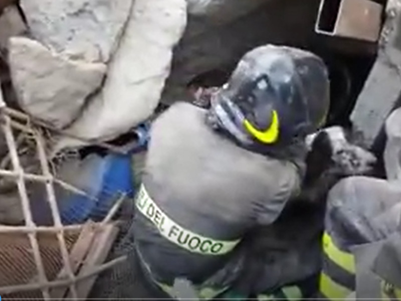 Piano di Sorrento/ Così i Vigili del fuoco hanno salvato i cani a via Ponte Orazio (VIDEO)