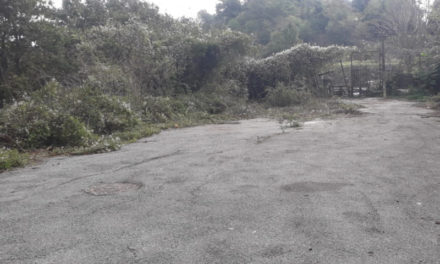Piano di Sorrento/ Dopo la denuncia del WWF, il Sindaco Iaccarino fa ripulire il cimitero della “Munnezza” ai Colli