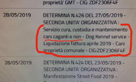 Sant’Agnello/ Il Comune manda in affido i cani “caganti”…ma anche quelli che non cagano