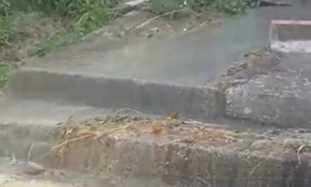 Meta/ Cascata di liquami scende giù vicino al cimitero (VIDEO)