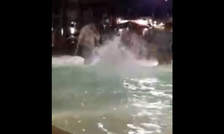 Sorrento/ Gara di tuffi a cufaniello nella vasca piscina di Piazza Lauro (VIDEO)